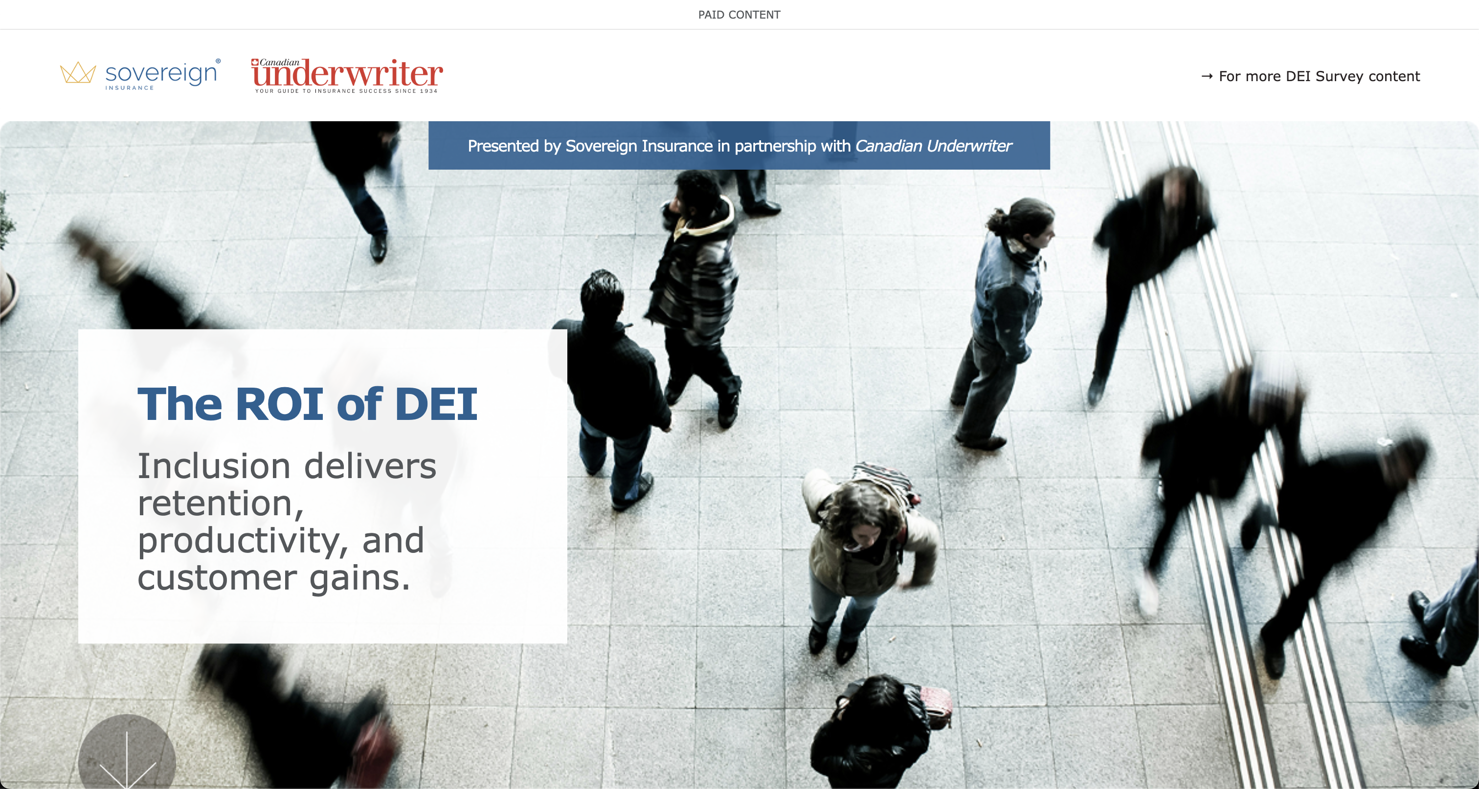 The ROI of DEI interactive infographic